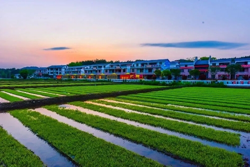 赣州周边特色旅游_周边赣州特色旅游有哪些_赣州周围景点