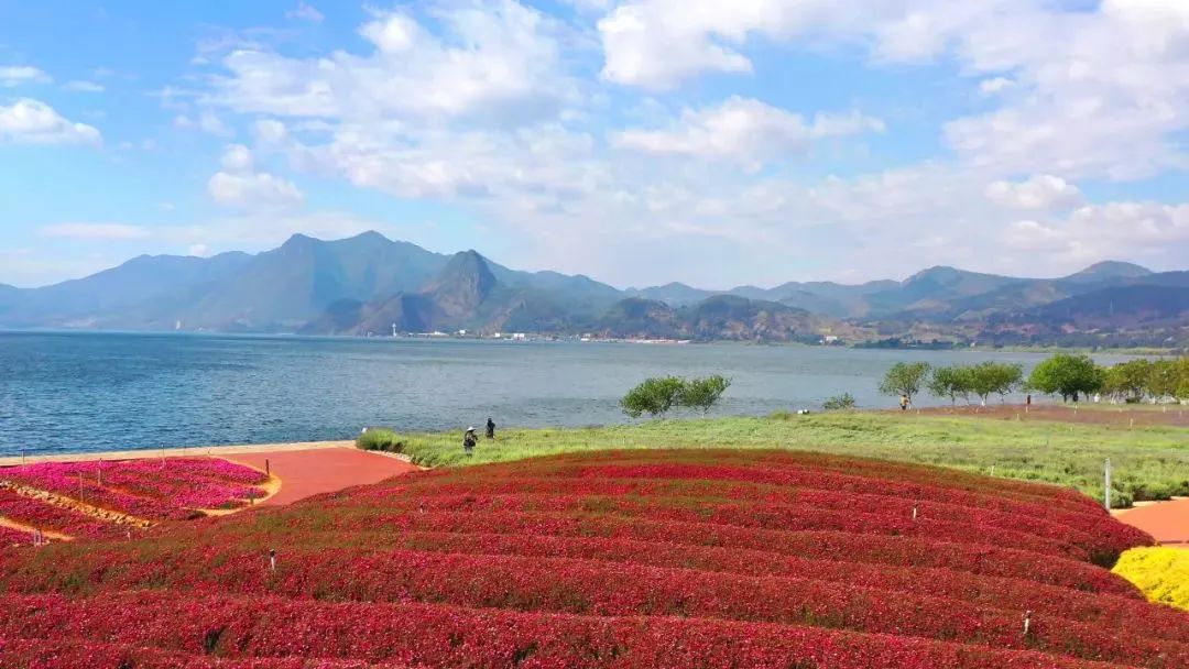 旅游藕粉和普通藕粉的区别_旅游藕粉怎么泡_旅游藕粉推荐