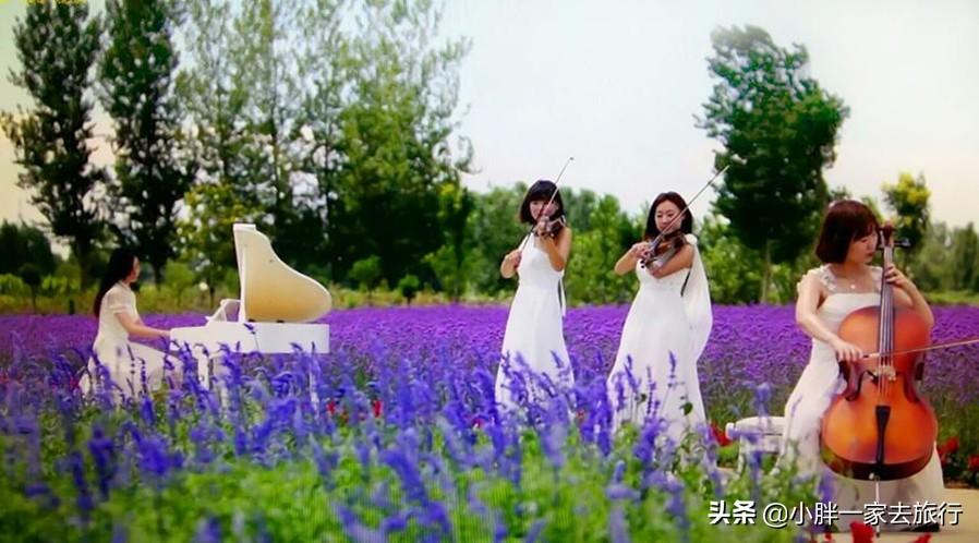 天津旅游旺季和淡季是几月份_天津旅游季节攻略_暑假天津旅游攻略
