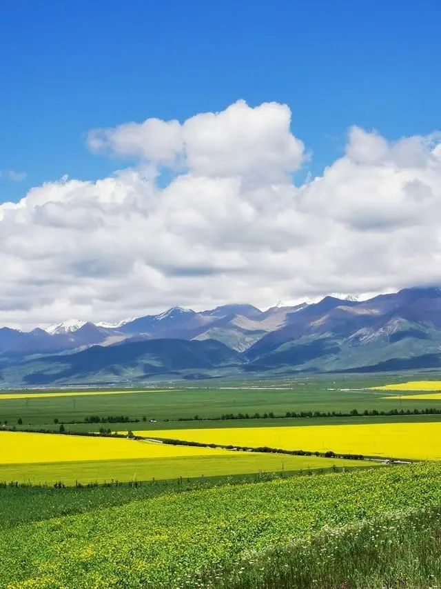 武汉什么季节去旅游最好_武汉最好的旅游季节_这个季节武汉适合去哪里旅游