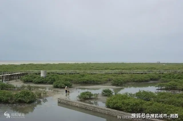 北海最好玩的季节_广西北海最适合旅游的季节_广西北海旅游最佳季节