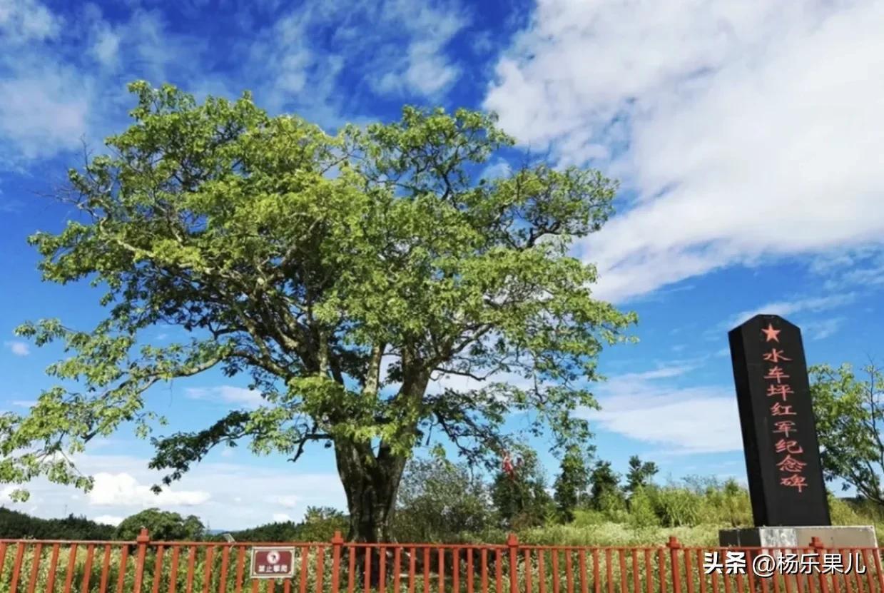 黔江旅游景点_黔江旅游景点门票价格_黔江旅游的景点