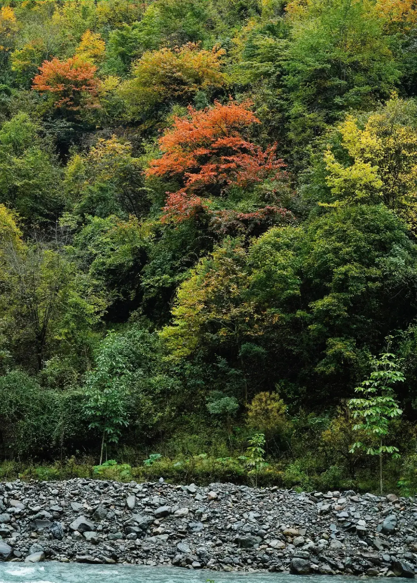 特色旅游阿坝网站有哪些_阿坝旅游网特色_阿坝特别旅游区