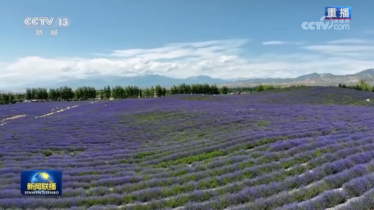 四川省乡村旅游特色乡镇_四川乡村旅游成功案例_四川乡村旅游特色产业发展