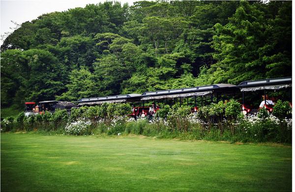 家庭包车旅游推荐_家庭旅游包车包司机_包车一日旅游