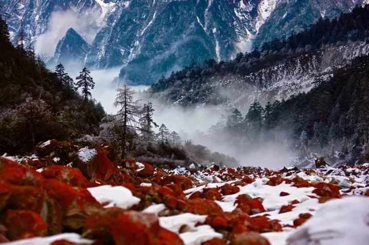 喀纳斯旅游的最佳季节是_喀纳斯旅游旺季是什么时候_喀纳斯季节