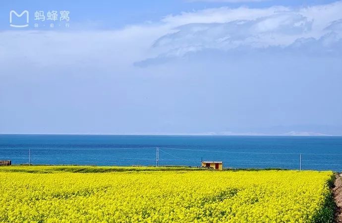 喀纳斯旅游的最佳季节是_喀纳斯季节_喀纳斯旅游旺季是什么时候