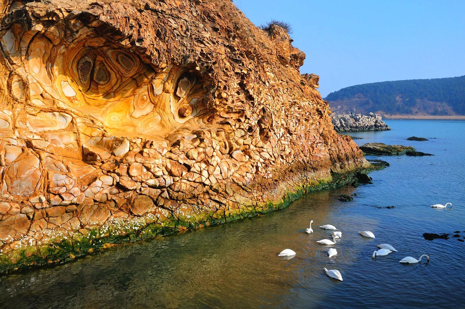 喀纳斯旅游的最佳季节是_喀纳斯旅游旺季是什么时候_喀纳斯季节