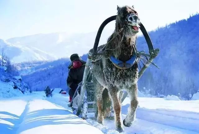 喀纳斯旅游的最佳季节是_喀纳斯旅游旺季是什么时候_喀纳斯季节