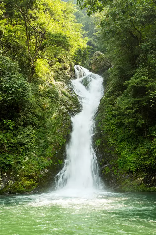 江西家庭旅游度假区有哪些_江西适合一家人旅游的地方_江西休闲度假推荐