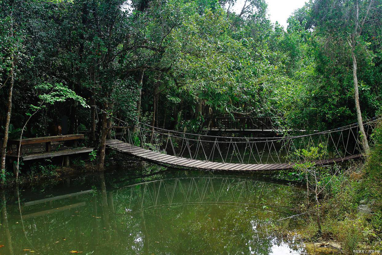 浙江安吉最佳旅游季节_浙江安吉旅游季节_安吉旅游最佳季节