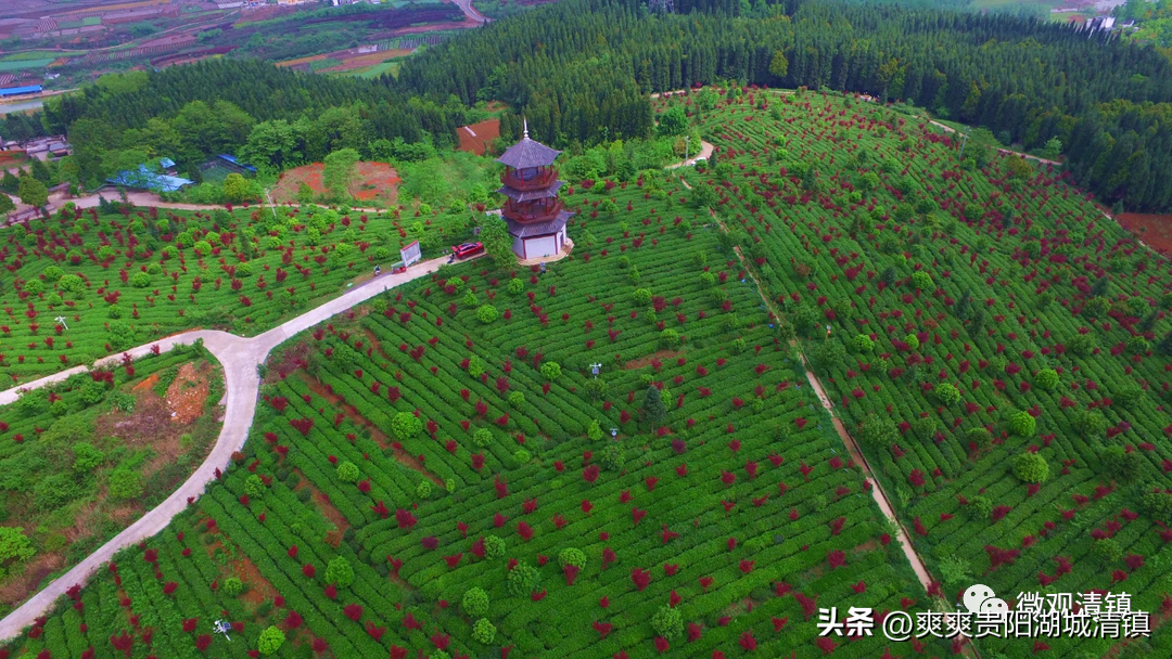 高校旅游规划_高校旅游线路_高校旅游线路设计