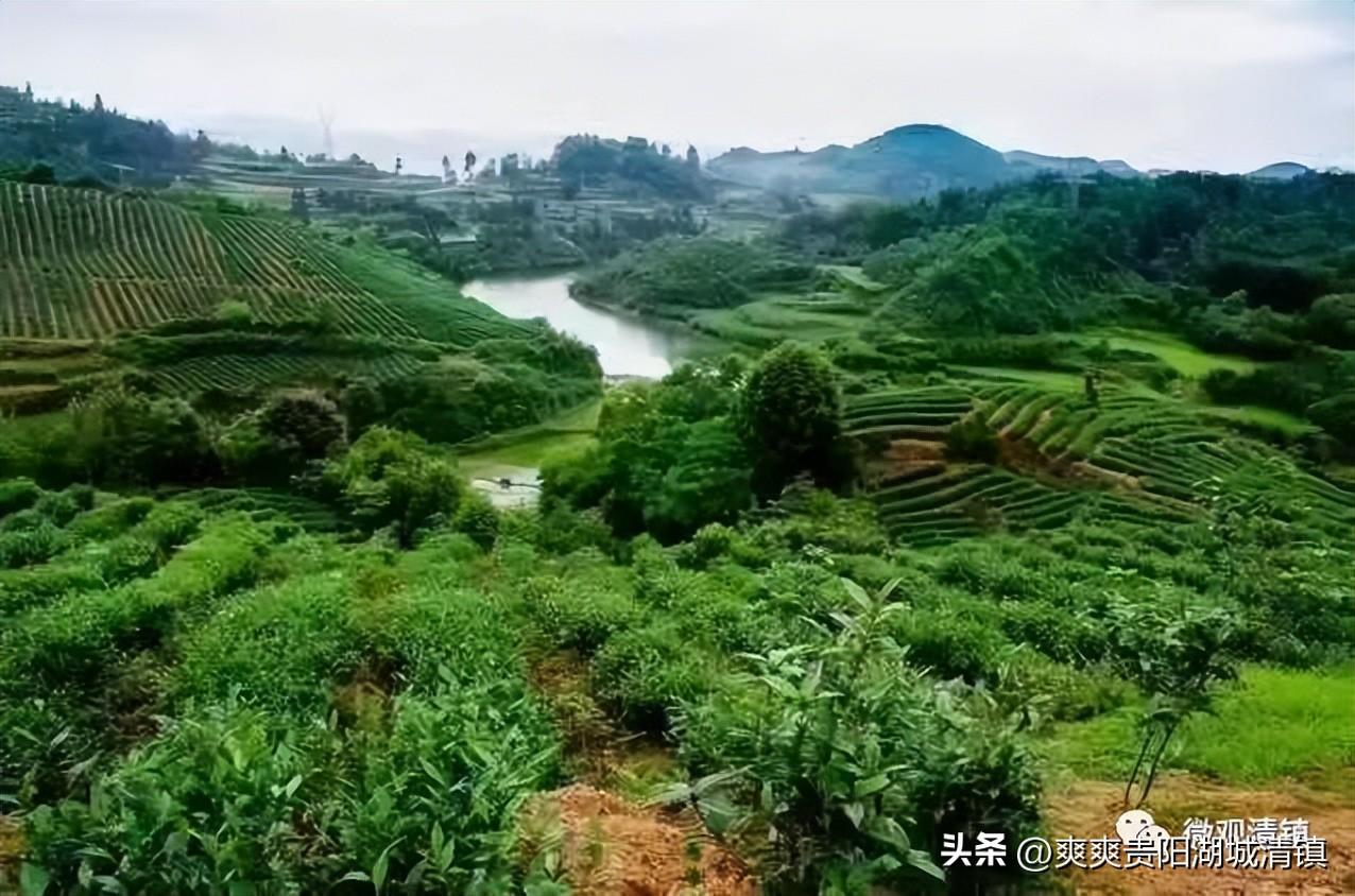 高校旅游线路设计_高校旅游线路_高校旅游规划