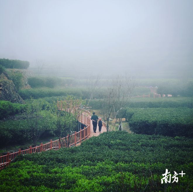 小镇休闲特色旅游打造文案_打造休闲旅游特色小镇_小镇休闲特色旅游打造活动