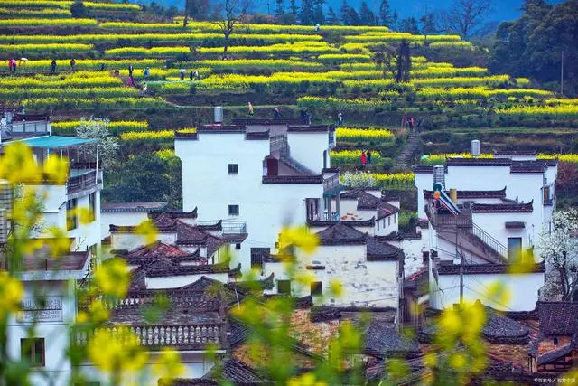 江西季节旅游好玩的地方_江西什么季节旅游好_江西最好的旅游季节