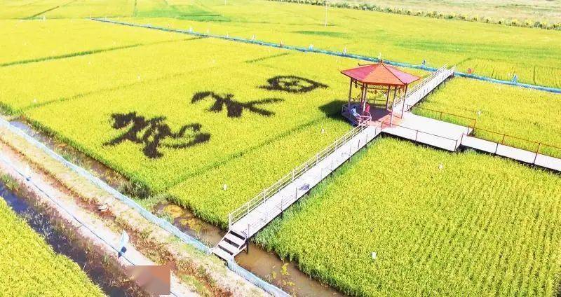 农家特色旅游区设计方案_旅游区农家特色_特色农家乐美食