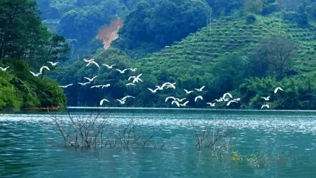 农家景区_特色农家乐美食_旅游区农家特色