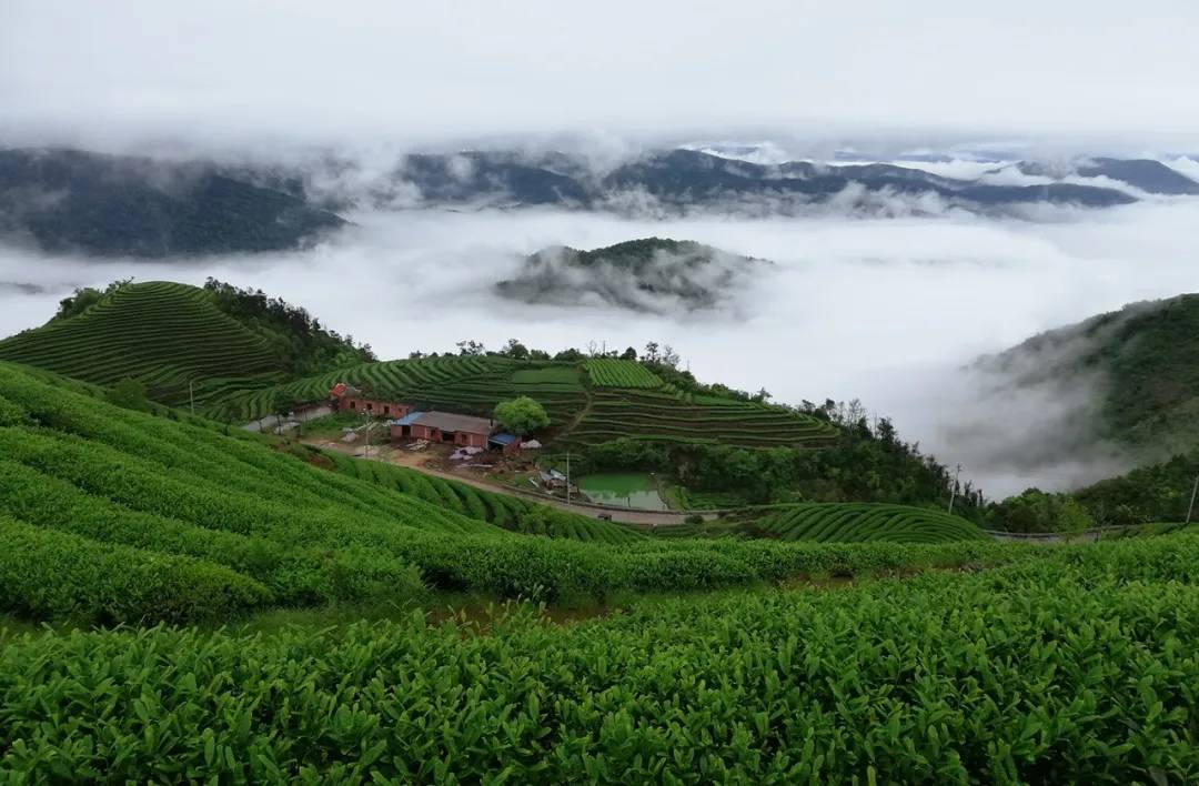 特色农家乐美食_农家景区_旅游区农家特色