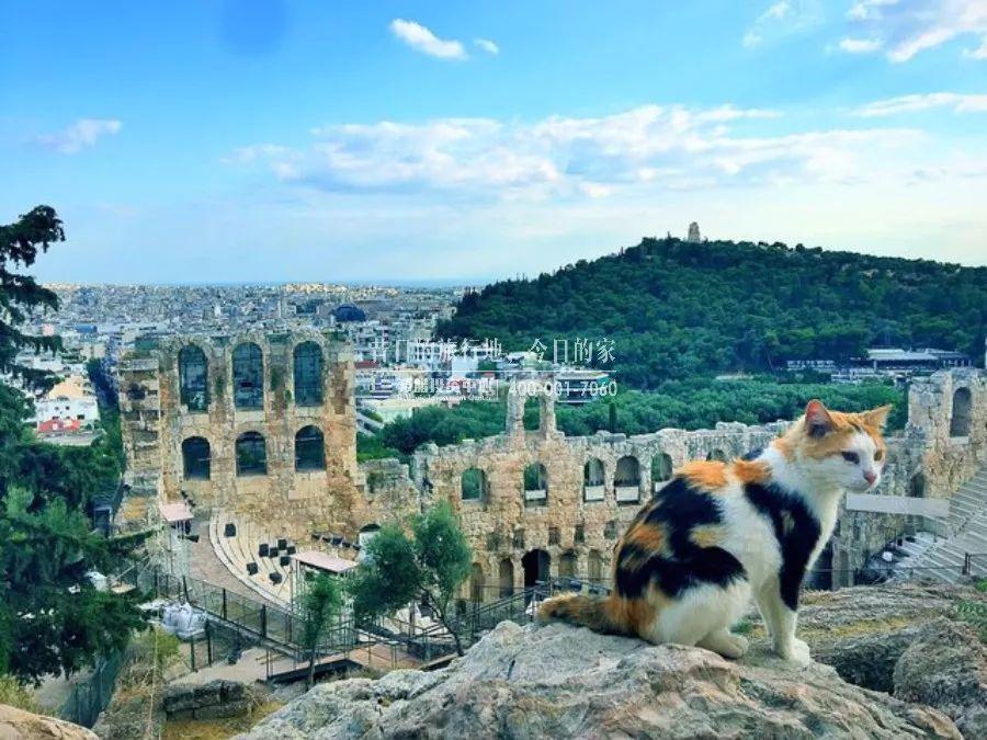 希腊最适合旅游的季节_希腊哪个季节适合旅游_希腊旅游旺季的季节和原因