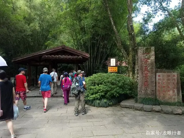 武夷山旅游线路推荐_武夷山旅游路线图(简单)_旅游攻略武夷山旅游必去的地方