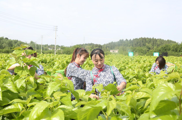 小平故居旅游线路_小平故居导游讲解词_小平故居的导游词