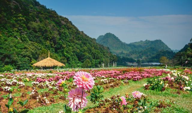 周末自驾游：广东清远有一小镇，山清水秀风景如画