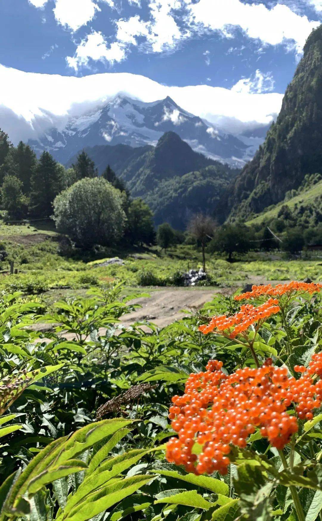 云南地图旅游景点大全图片欣赏_云南旅游季节地图海报_云南地图旅游