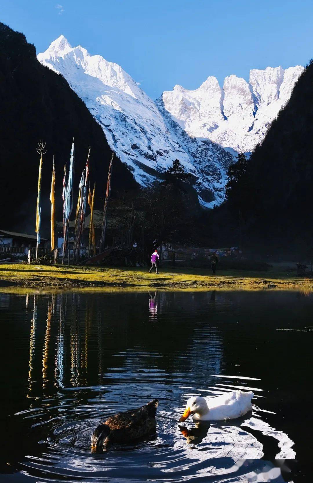 云南地图旅游_云南旅游季节地图海报_云南地图旅游景点大全图片欣赏