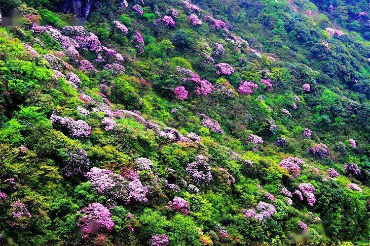 云南地图旅游_云南地图旅游景点大全图片欣赏_云南旅游季节地图海报