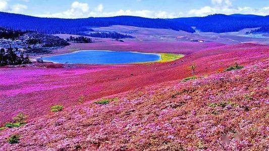 云南地图旅游景点大全图片欣赏_云南地图旅游_云南旅游季节地图海报