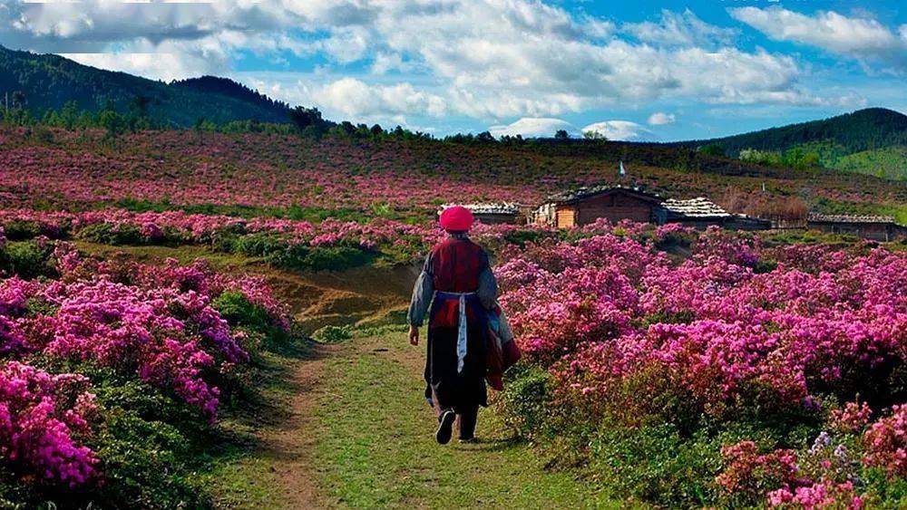 云南地图旅游景点大全图片欣赏_云南地图旅游_云南旅游季节地图海报