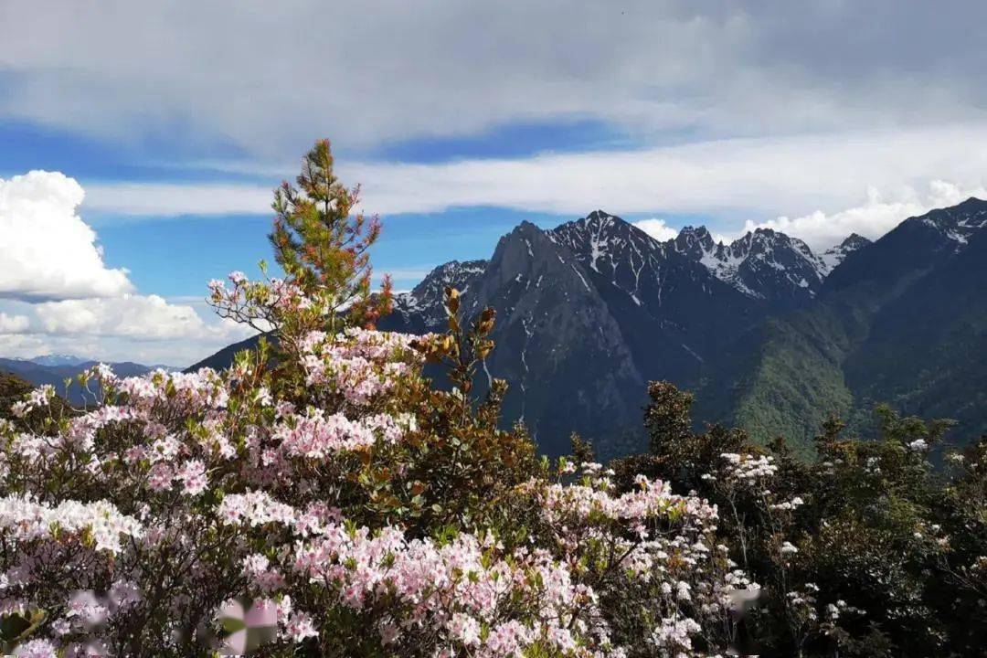 云南旅游季节地图海报_云南地图旅游景点大全图片欣赏_云南地图旅游