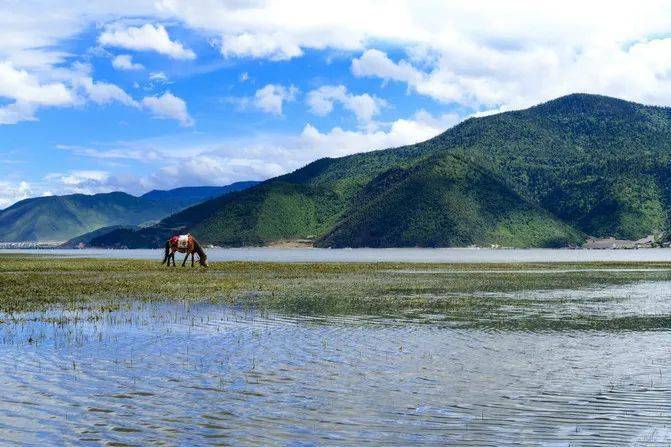 云南旅游季节地图海报_云南地图旅游景点大全图片欣赏_云南地图旅游