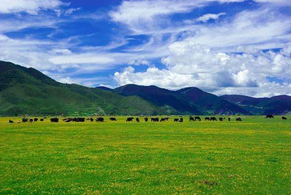 云南地图旅游_云南旅游季节地图海报_云南地图旅游景点大全图片欣赏