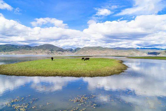 云南地图旅游景点大全图片欣赏_云南旅游季节地图海报_云南地图旅游