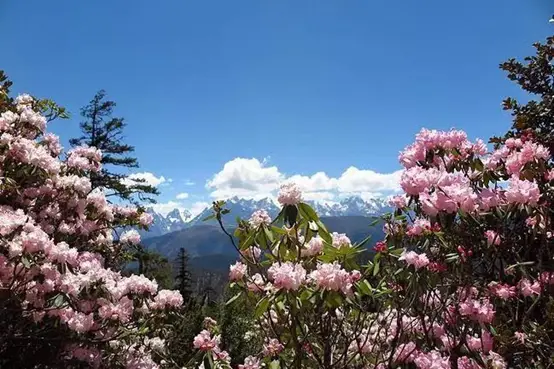 云南地图旅游_云南地图旅游景点大全图片欣赏_云南旅游季节地图海报