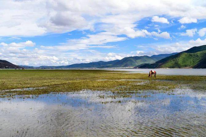 云南地图旅游_云南地图旅游景点大全图片欣赏_云南旅游季节地图海报