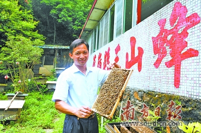 欢乐港湾的摩天轮_大埔绿色旅游线路_新能源用地政策