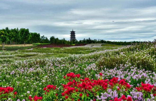 唐山景点免费旅游推荐_唐山景点免费旅游攻略_唐山免费旅游景点