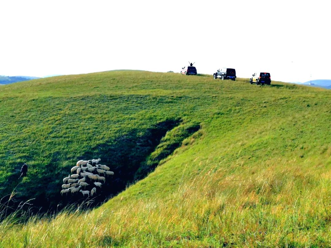 导游路线安排_导游旅游线路_导游路线图