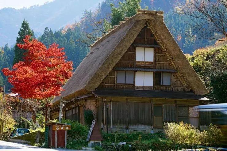 白川乡合掌村民宿_日本合掌村旅游季节_西湖合掌村