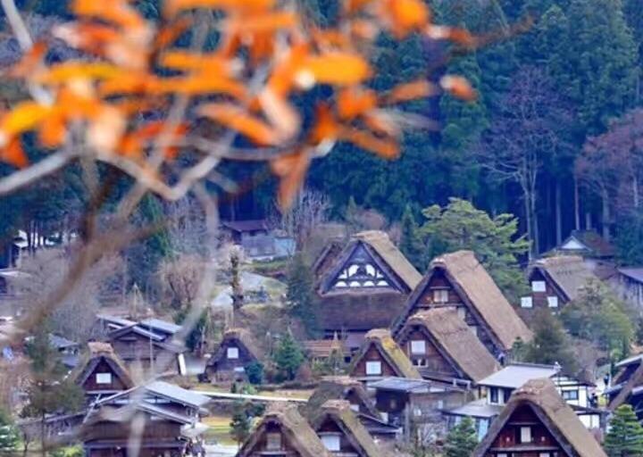 白川乡合掌村民宿_日本合掌村旅游季节_西湖合掌村