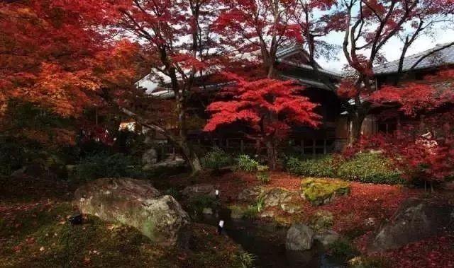 五崮山合掌村_日本白川乡合掌村游记_日本合掌村旅游季节