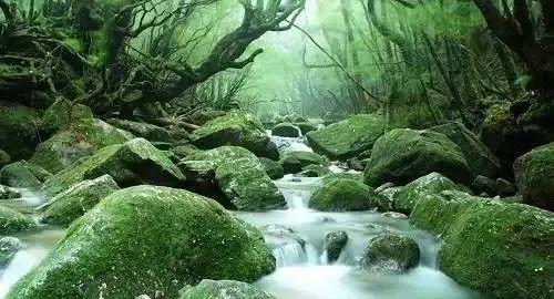 日本合掌村旅游季节_日本白川乡合掌村游记_五崮山合掌村