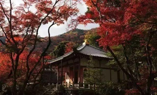 日本白川乡合掌村游记_日本合掌村旅游季节_五崮山合掌村