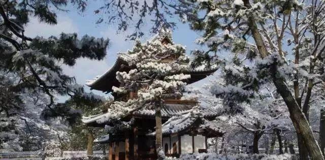 日本白川乡合掌村游记_日本合掌村旅游季节_五崮山合掌村