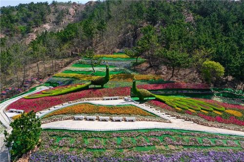 公司团建旅游地点推荐青岛_青岛团建项目哪家好_青岛团建攻略