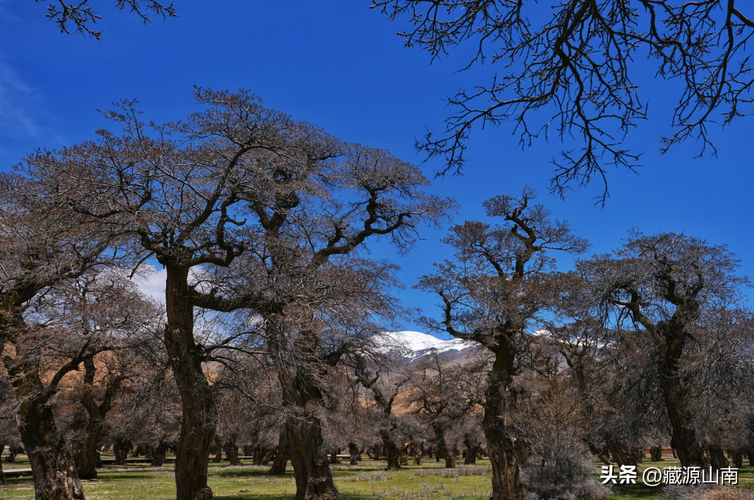 西藏南山景点_西藏山南最佳旅游时间_西藏山南旅游季节有哪些