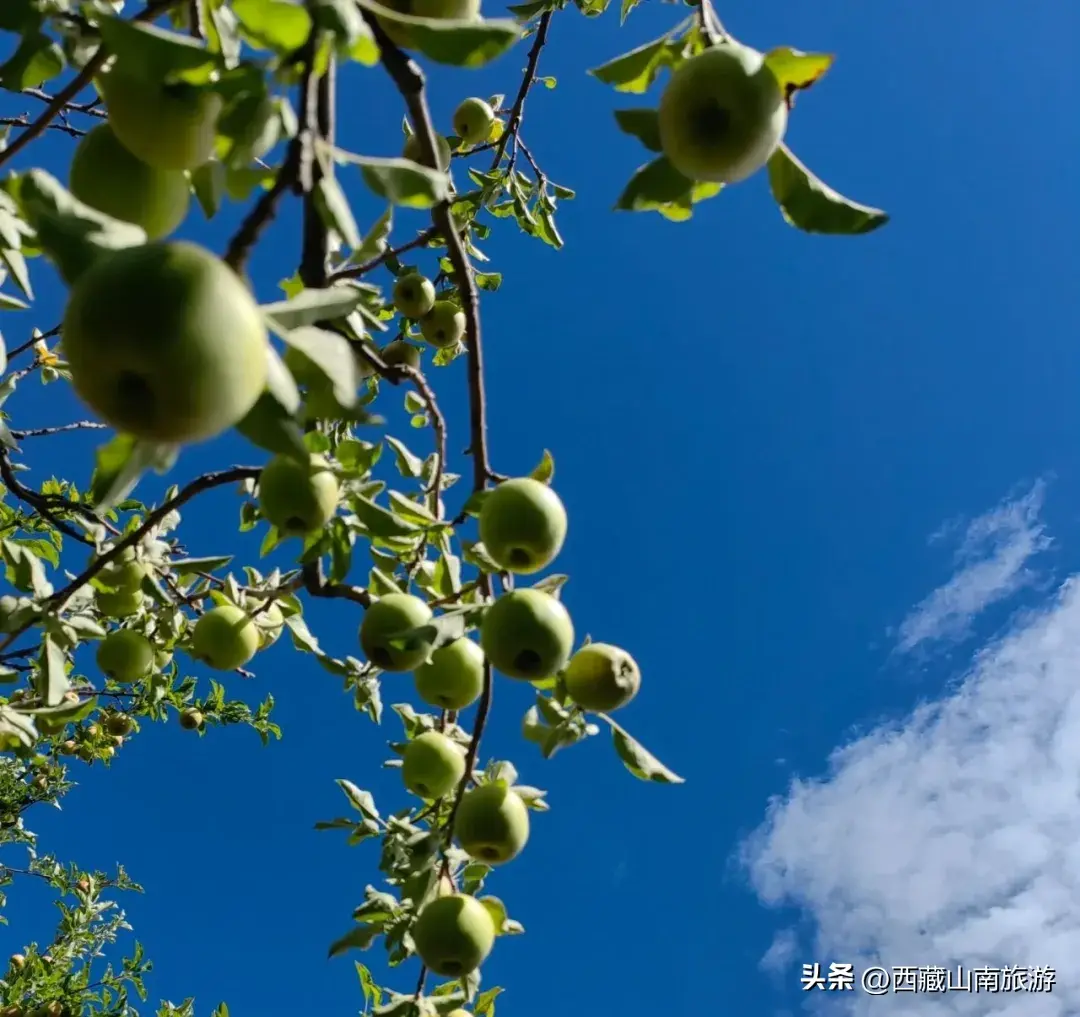 西藏山南几月份去最好_西藏山南旅游季节有哪些_西藏南山景点