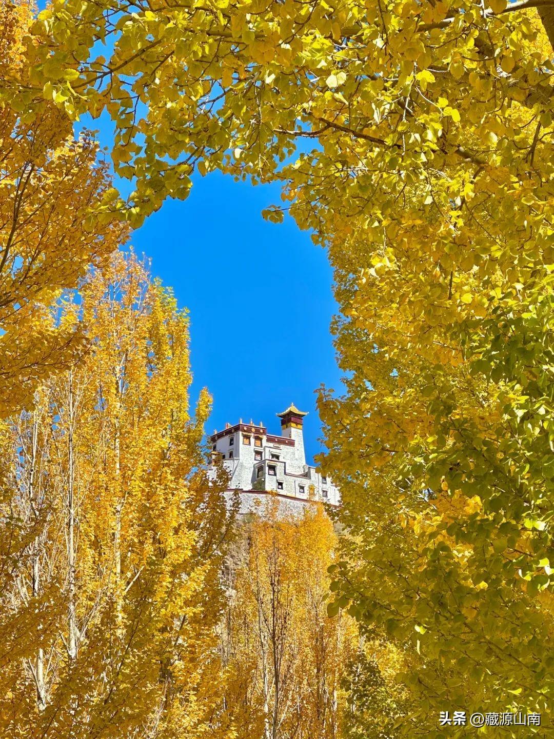 西藏山南好玩的地方_西藏山南最佳旅游时间_西藏山南旅游季节有哪些